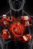 Digital innovation in cardiology